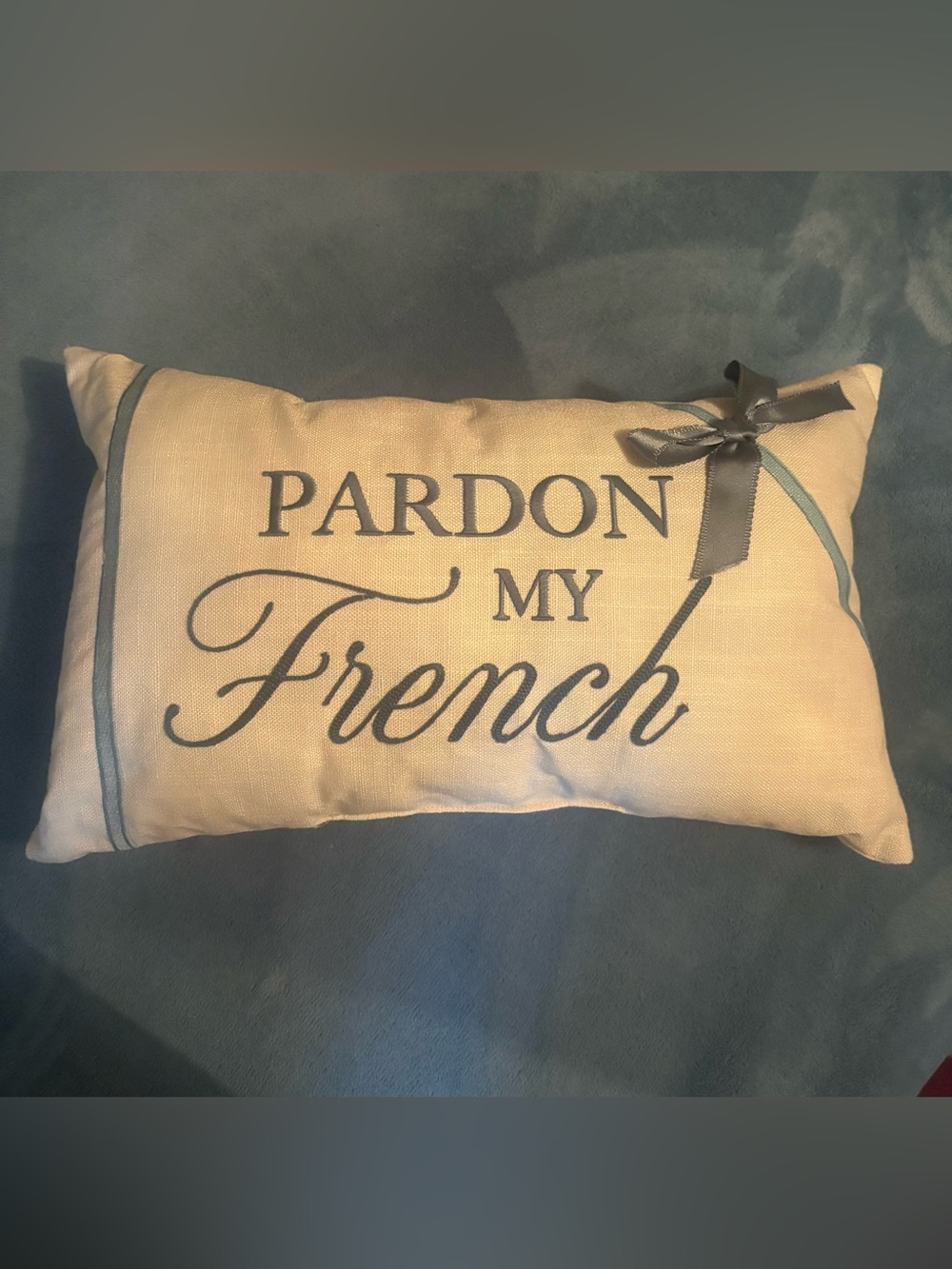 New Pardon My French pillow Ashland Michaels shabby chic bow blue cream